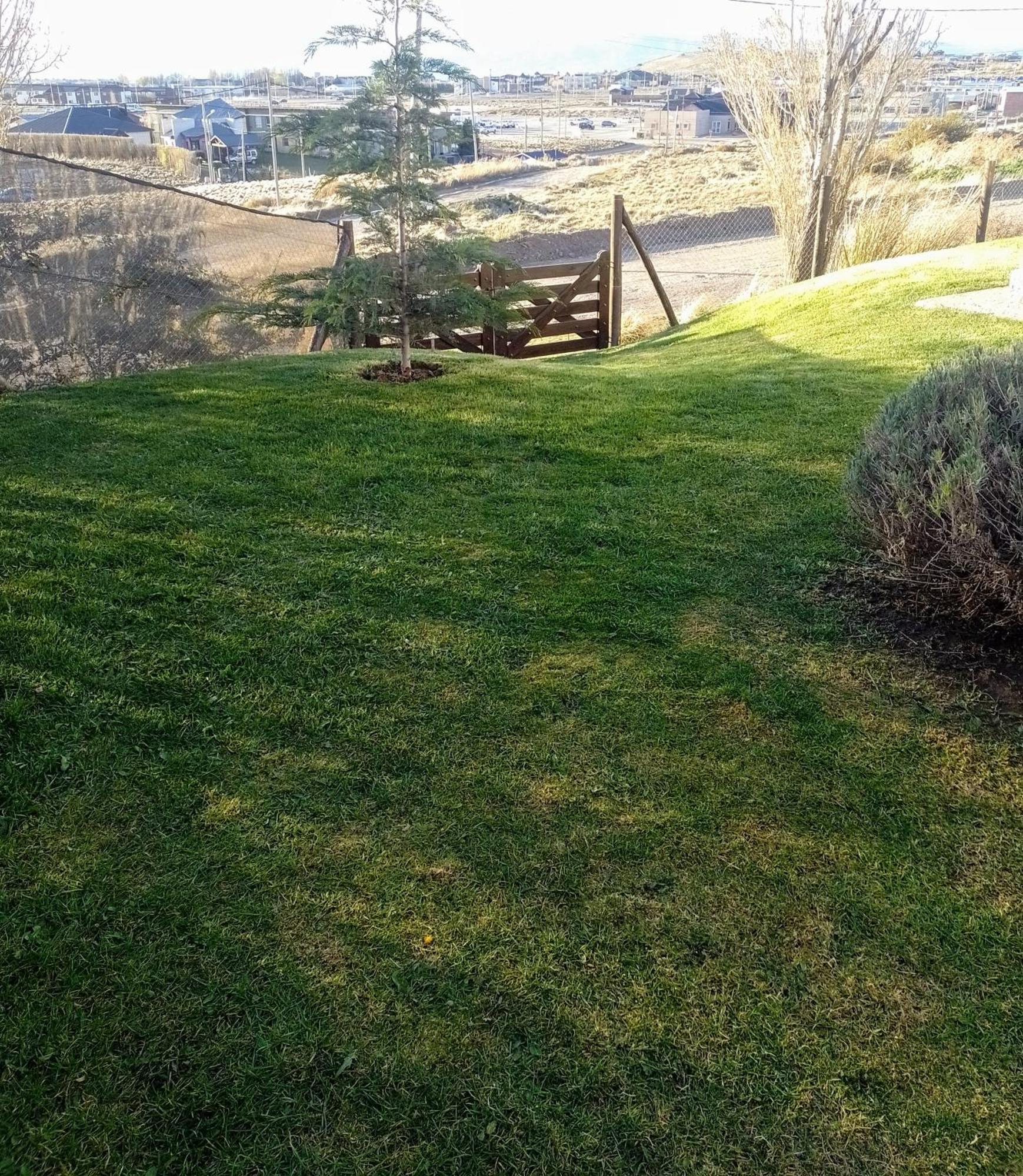 Cabana La Marilena, Para 2 Huespedes Con Desayuno เอลกาลาฟาเต ภายนอก รูปภาพ